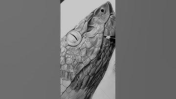 🐍🤯Snake Drawing 🐍😵| Very Easy Snake Drawing Tutorial | Step by Step Pencil Shade drawing