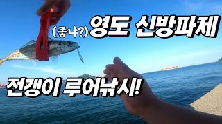딱! 피딩 2시간!  부산 영도 신방파제 전갱이루어낚시