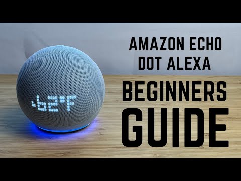 Alexa for Business: What Every Executive Should Know in 2024