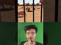 Muslim khinghobur 😂 (Muslim lions )