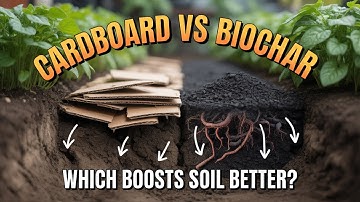 I Tried Biochar and Cardboard for 6 Months… And Learned This Shocking Truth About Soil