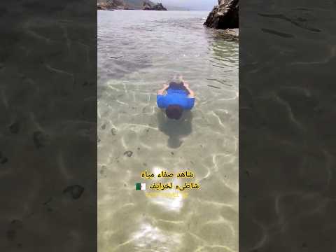 شاهد صفاء مياه شاطىء لخرايف ولاية سكيكدة حوس بلادك ماتحڨرهاش Ccsp Travel Algeria Shorts 