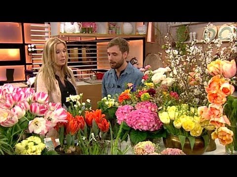 Video: Vård om iris: varför iris inte blommar