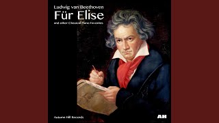 Video thumbnail of "Ludwig van Beethoven - Fur Elise"