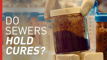 Meet the Scientist Searching Sewers for Cures | Freethink On the Fringe