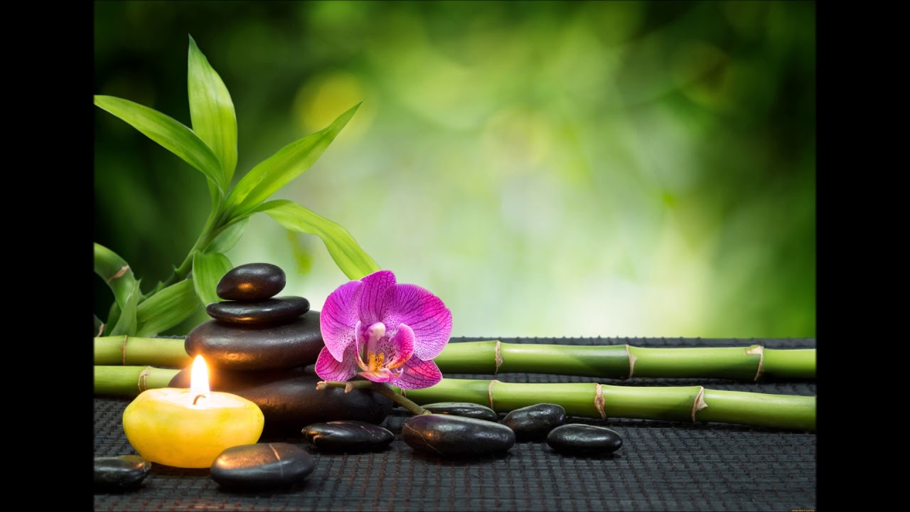 Horoscop Februarie Rac tarot world