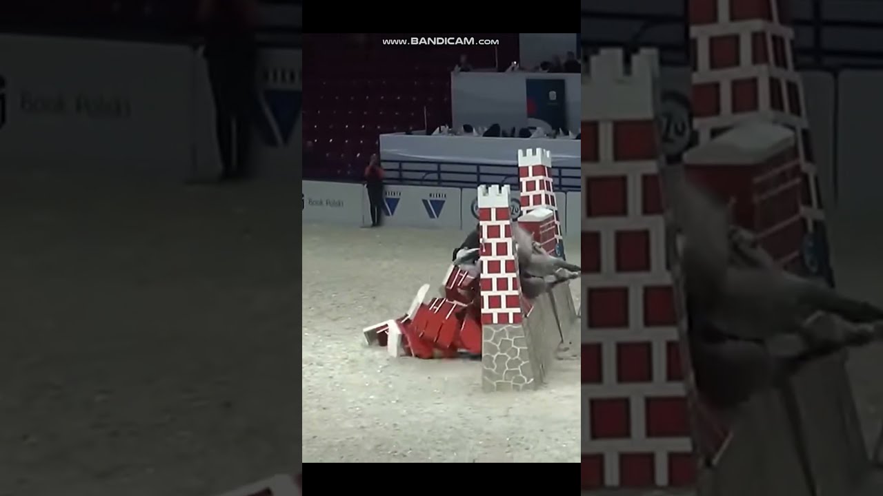 Jumping Over 2 Meters Is Just Insane Do U Agree Subscribe Horse Equestrain Equestrianlove