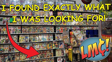 I Got an Excellent Bundle Deal at this Comic and Toy Warehouse!