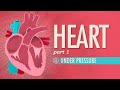 The Heart, Part 1 - Under Pressure: Crash Course Anatomy &amp; Physiology #25