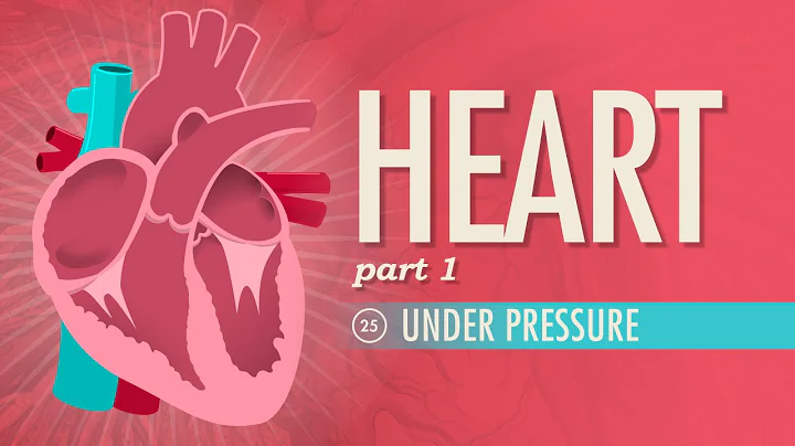 The Heart, Part 1 - Under Pressure: Crash Course A...