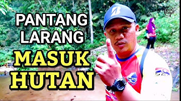 Pantang Larang Masuk Hutan - misi menjejak Air Terjun Sungai Pisang