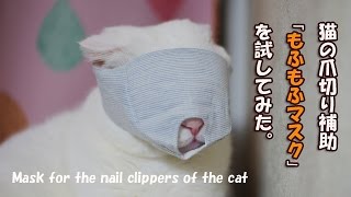 猫の爪切り補助マスクを試してみた【Scottish Fold】Nail clippers of the cat