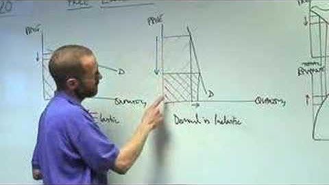 Price Elasticity & Total Revenue