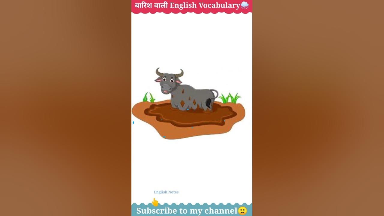 Baarish Related Important English Vocabulary Waterlogging baarish-related-important-english-vocabulary-waterlogging