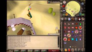 Zt - a hide n seek event!!!