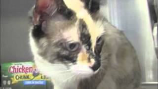 Shelter 062414