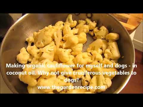 Cauliflower for DOGS