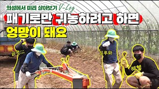패기 넘치는 승호의 의성 살아보기 브이로그