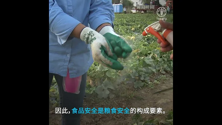 食品安全是粮食安全的构成要素。 - 天天要闻