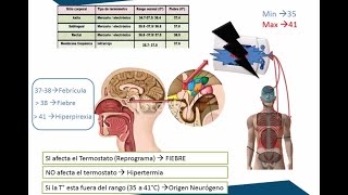 Regulación de la TEMPERATURA CORPORAL    FISIOLOGÍA DEL HIPOTÁLAMO