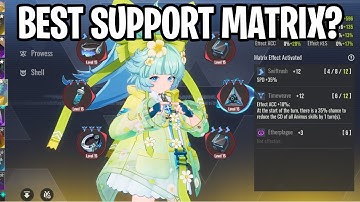 WHAT MATRIX TO USE ON SUPPORTS?? [Etheria: Restart]