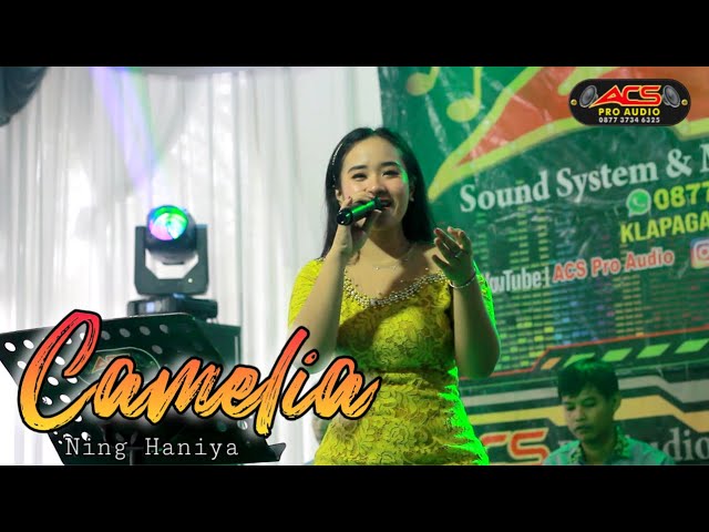 CAMELIA - Ning Haniya - ACS Pro Audio (live) class=