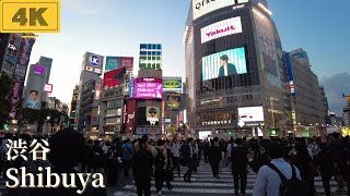 【4K/Tokyo】 walk in Japan/Shibuya/渋谷を散歩/リニューアルオープンしたシブツタ周辺を散歩