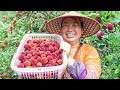 大姑家的楊梅紅了，又大又紅很吸引人，媳婦吃了還想吃 | Picking arbutus, big and red is very attractive, very delicious