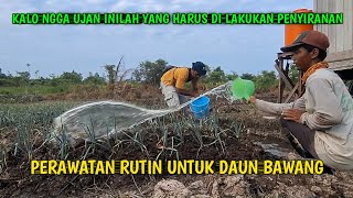 Download Lagu DETIK DETIK MAS ROHMAT MENYIRAM DAUN BAWANG BEGINI CARANYA MP3 Download Lagu DETIK DETIK MAS ROHMAT MENYIRAM DAUN BAWANG BEGINI CARANYA MP3