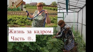 Жизнь за кадром. Часть 6. Киноляпы от "Во саду ли в огороде".