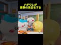 中国のハチワレが衝撃の告白をする... #ちいかわ