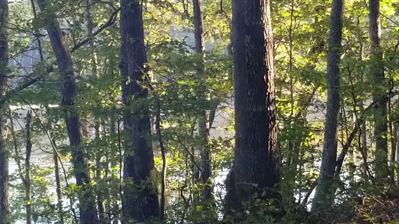 Outdoor Food Review [ E7 S2 ]