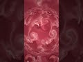 Glass-Marble Abstract Pattern Gradient Design Presentation with a Color-Switching Effect ~ 042226.70