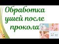 Чем обрабатывать уши после прокола? Алгоритм обработки ушей,воспаление.