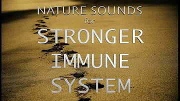 Satisfying Nature Sounds | White Noise | Stronger Immune System | 60 minutes : Mindful Meditation