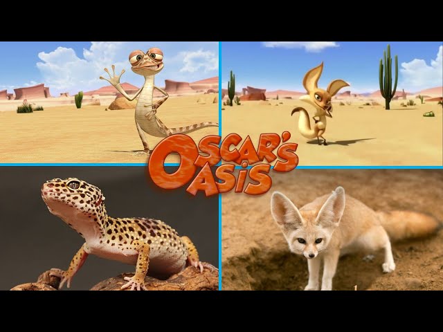 Oscar's Oasis Characters in Real Life 