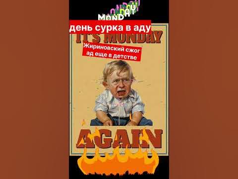 День сурка в аду. 🎇 #приколы #jokes #юмор #мем #memes #мемы - YouTube