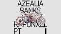 Video for Azealia Banks Rapunzel