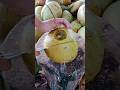Fast hands. Clean cut. Global money 💸🥥🌴#coconut#asmr#satisfying#oddlysatisfying#foodprocess