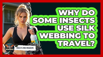 Why Do Some Insects Use Silk Webbing To Travel? - Insects and Invaders