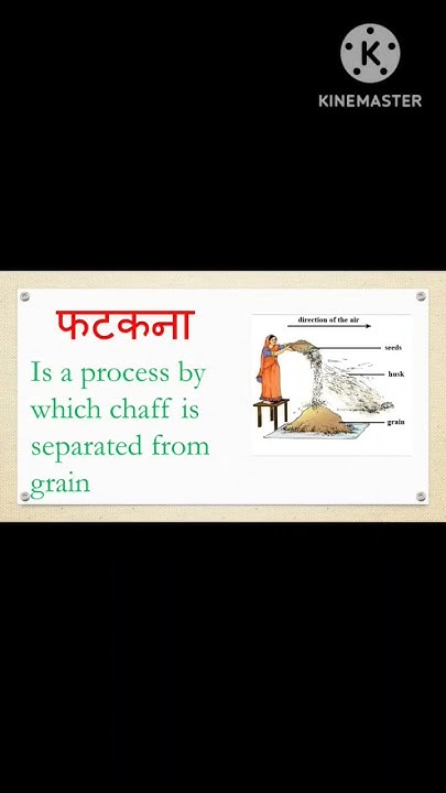 Winnowing Meaning In Hindi winnowing In Sentence daily Use Word winnowing-meaning-in-hindi-winnowing-in-sentence-daily-use-word