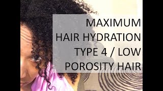 Maximum Hair Hydration | 4a - 4c | Low Porosity Hair