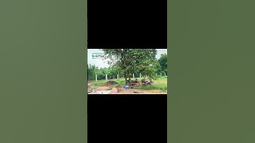 Làm sao để thi công hàng rào 2m vừa an toàn vừa tiết kiệm ? #xayhangrao #xaynhatho #hangraobetong