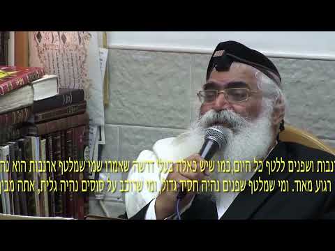 הרב יורם אברג'ל - המסר היומי -ילד מאושר -כ"ו אב תשפ''ג