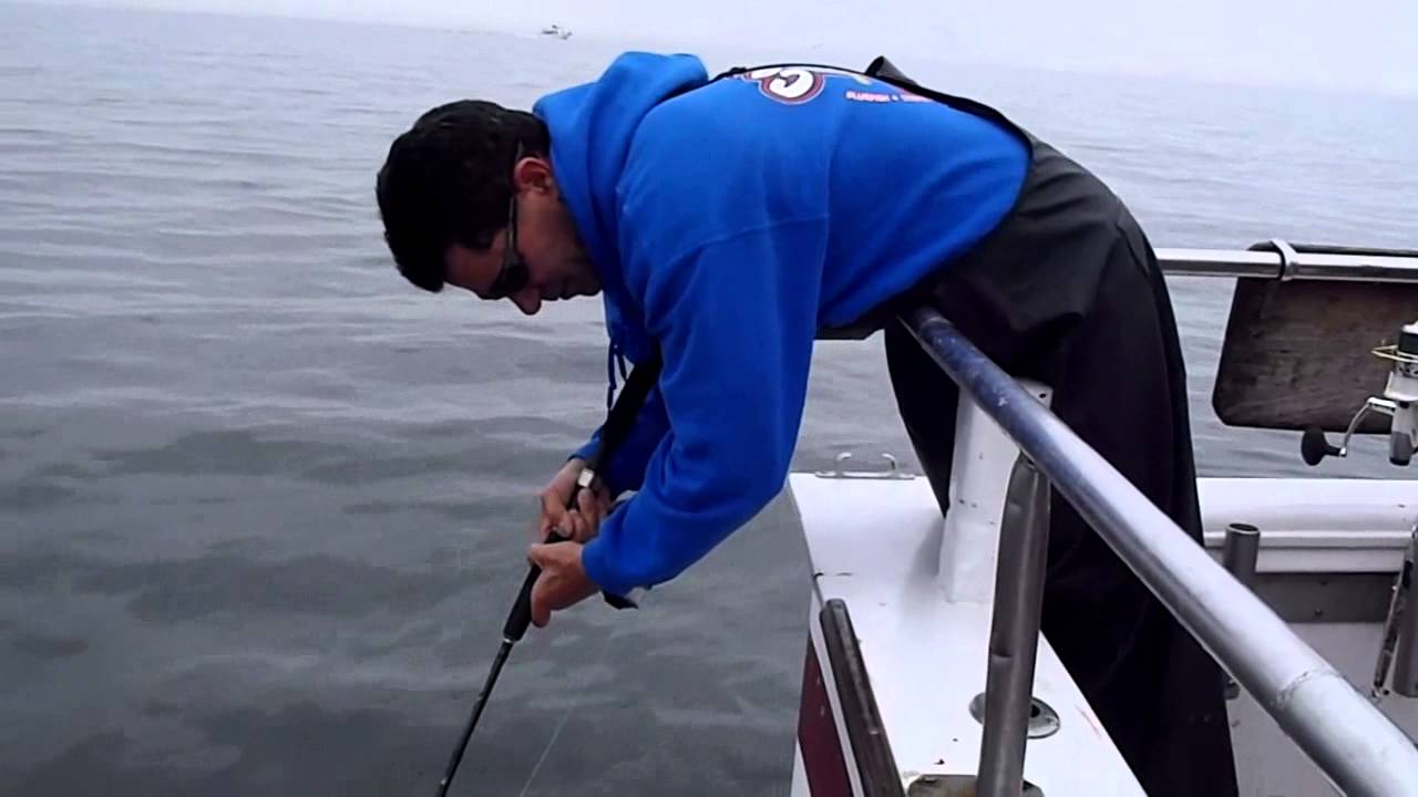 Awesome day of Bluefish, Striped Bass & Bonito Cock Robin Deep Sea