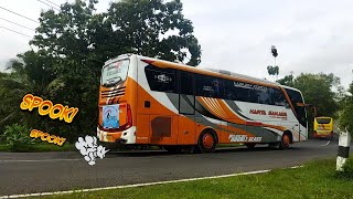 SPOK SPOK BUS PARIWISATA TERBARU 2021|| MENJELANG TAHUN BARU 2022