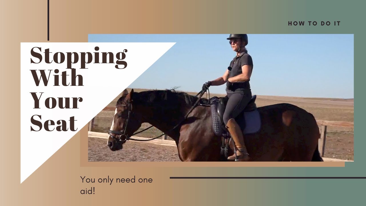 Stopping A Horse With Your Seat YouTube