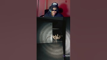 that spider moved way too fast 😂 (Twitch/YT: HeyyVance) #huntsman #horrorgaming #jumpscares