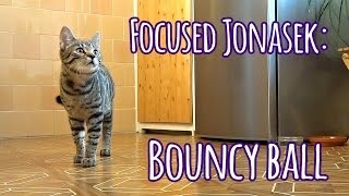 Focused kitty:  Bouncy ball by Jonasek The Cat 3,980 views 8 years ago 1 minute, 26 seconds