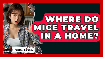 Where Do Mice Travel In A Home? - Insects and Invaders
